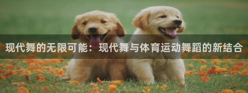 JJB竞技宝官网下载招商电话：现代舞的无限可能：现代