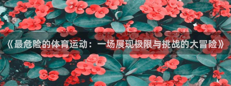 JJB竞技宝官方平台体育：《最危险的体育运动：一场展