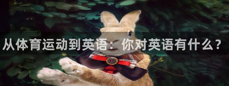 JJB竞技宝官网下载平台是正规平台吗：从体育运动到英