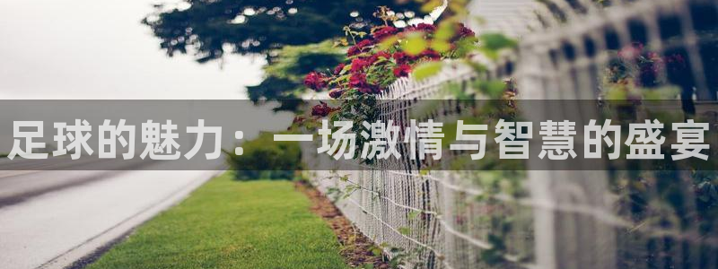 JJB竞技宝官网下载招商电话号码是多少啊：足球的魅力