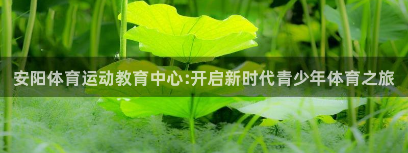 海南JJB竞技宝官网下载发展怎么样：安阳体育运动教育