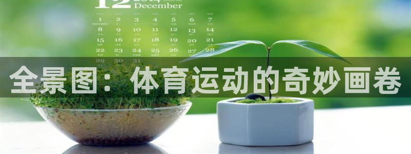 JJB竞技宝官方正版app娱乐40996：全景图：体