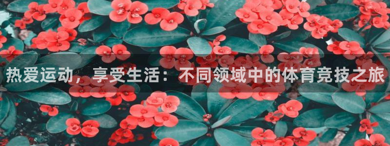 JJB竞技宝官网下载招商电话号码是多少：热爱运动，享受生活：