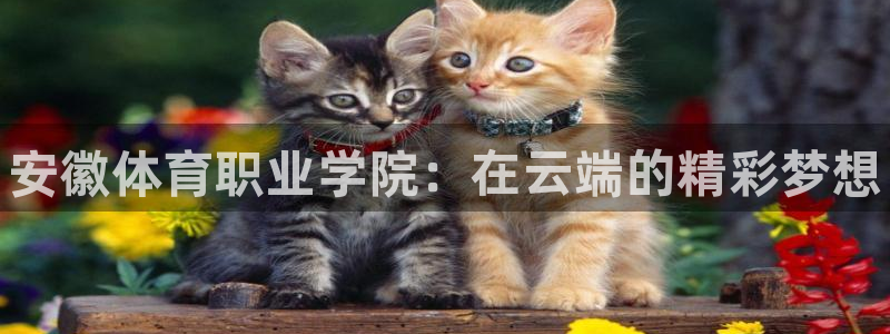 JJB竞技宝官方正版app五金厂：安徽体育职业学院：
