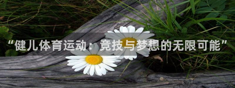 JJB竞技宝官网下载招商电话：“健儿体育运动：竞技与梦想的无