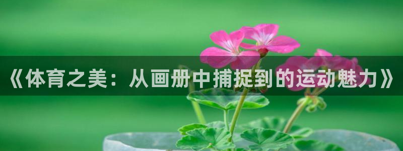JJB竞技宝官网下载平台：《体育之美：从画册中捕捉到