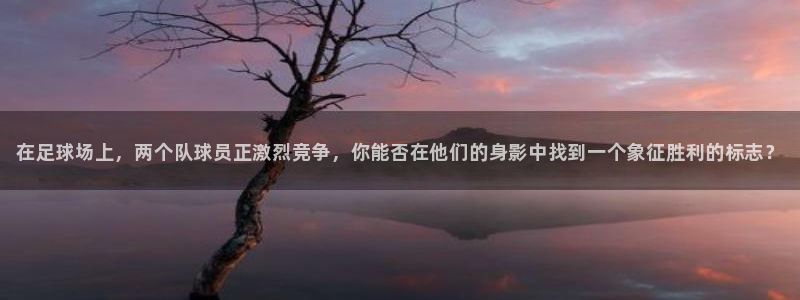 JJB竞技宝官方正版app娱乐平台：在足球场上，两个队球员正