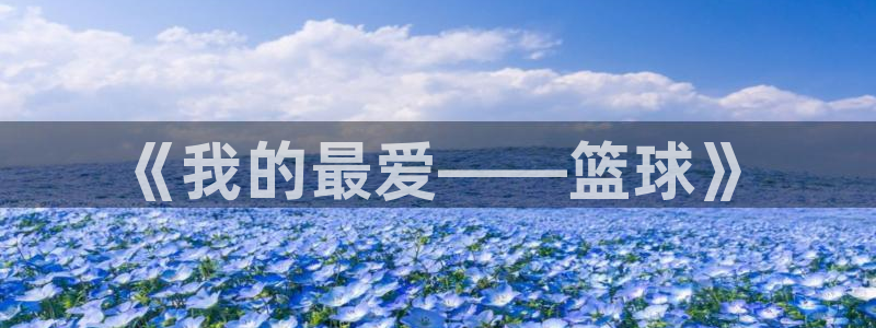 JJB竞技宝官网下载平台注册：《我的最爱——篮球》
