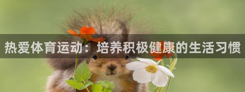 JJB竞技宝官方正版app娱乐