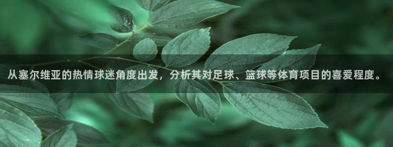 JJB竞技宝官网下载招商：从塞尔维亚的热情球迷角度出发，分析