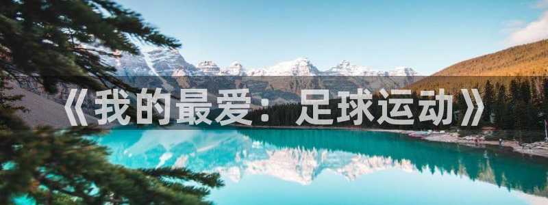 JJB竞技宝官网下载是干嘛的公司：《我的最爱：足球运