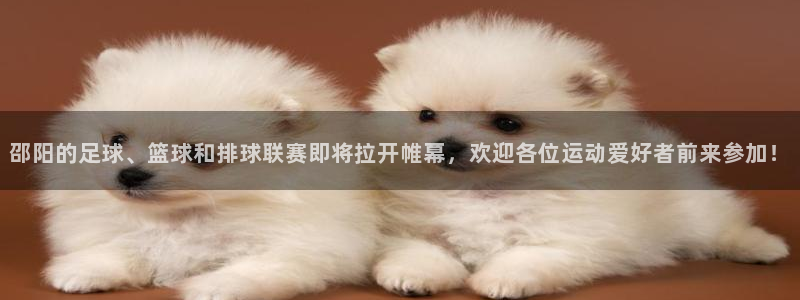 JJB竞技宝官方正版app新能源：邵阳的足球、篮球和