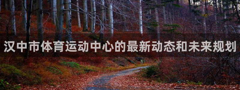 JJB竞技宝官方正版app娱乐：汉中市体育运动中心的