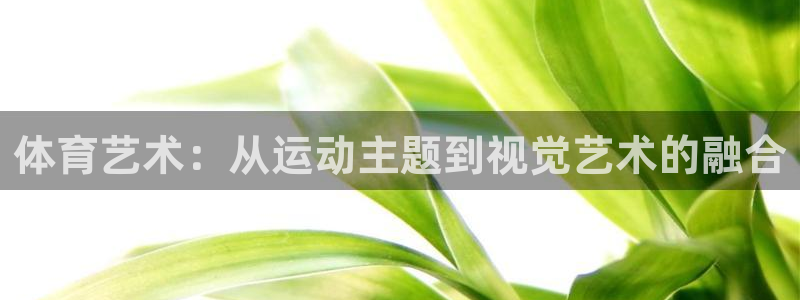 JJB竞技宝官方正版app集团官网网址：体育艺术：从运动主题