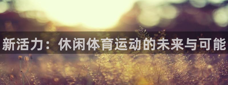 JJB竞技宝官网下载是干嘛的公司：新活力：休闲体育运动的未来