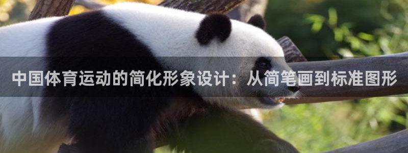 JJB竞技宝官网下载平台假的吗是真的吗：中国体育运动的简化形